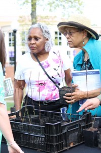 HPU High Point University Arbor Day