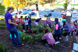 HPU Pink Ribbon Garden 1