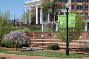 The tree-form wisteria has perfect timing this year for Earth Day and Arbor Day celebrations in the park. 