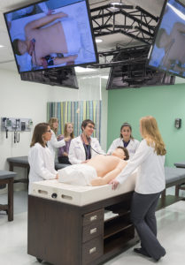 Physician Assistant Studies