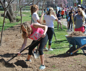 Courtney Peck spreads mulch along the walkway.