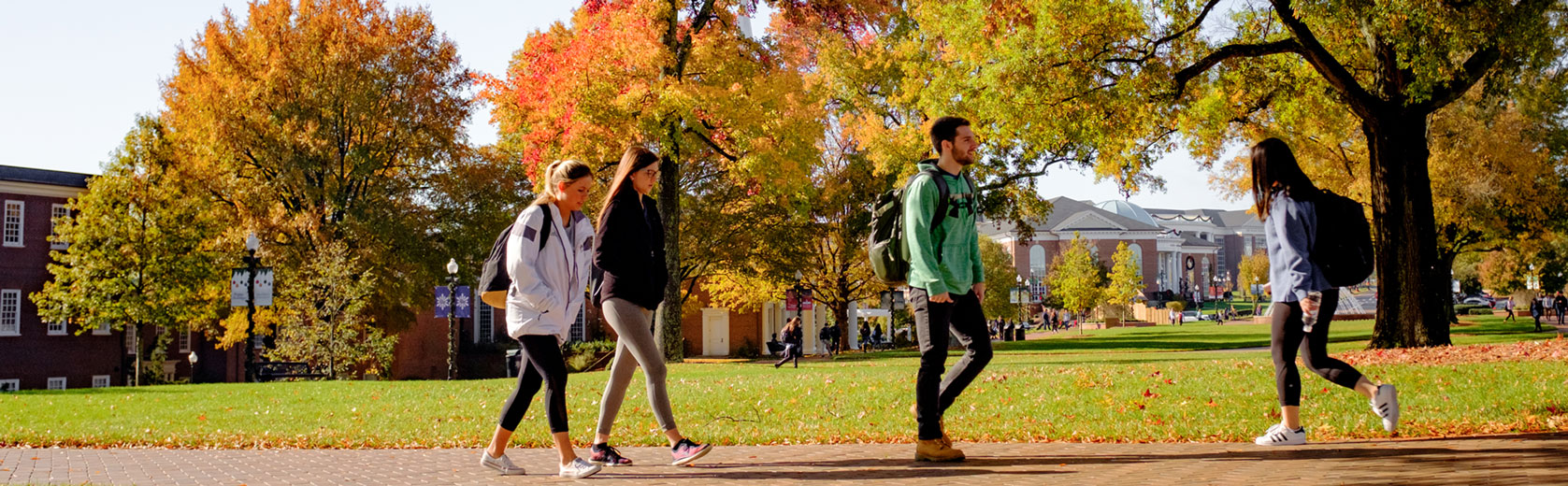 Congdon Hall2000x680