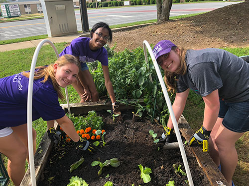 students working in garden