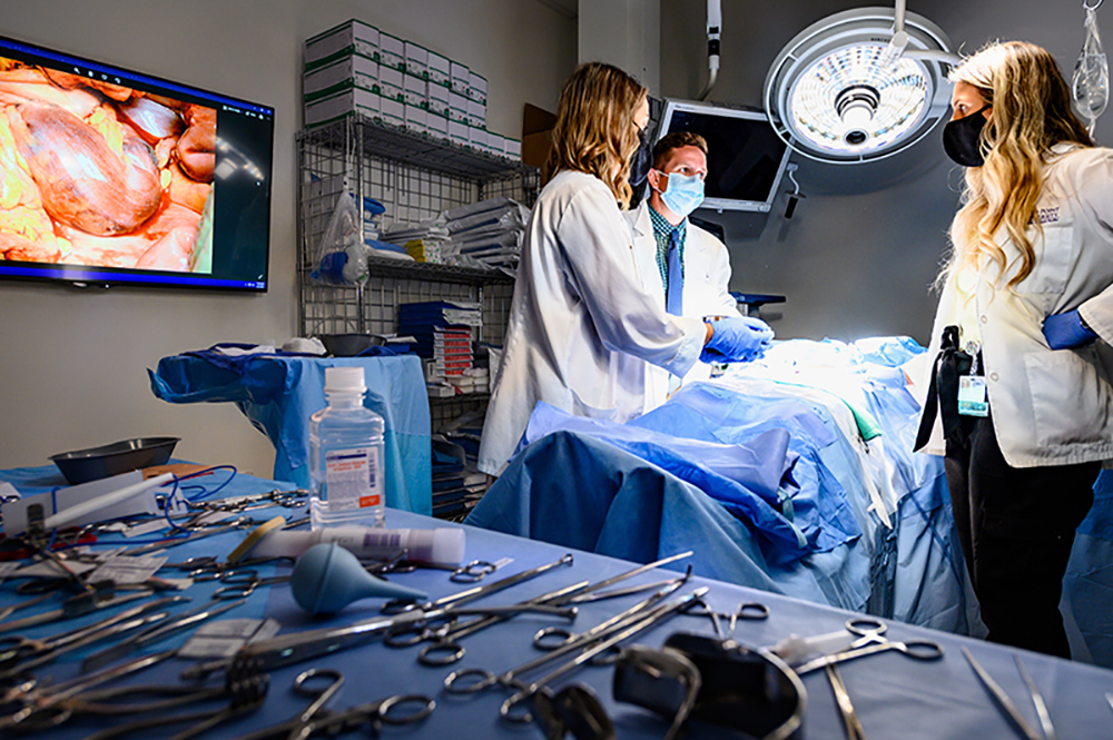 HPU Physician Assistant students practice their skills inside a high-tech simulation laboratory. HPU’s Department of Physician Assistant Studies is housed within the Congdon School of Health Sciences inside Congdon Hall along with the Fred Wilson School of Pharmacy. 