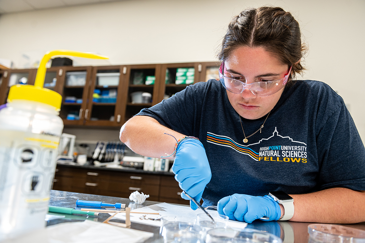 HPU Summer Research 3