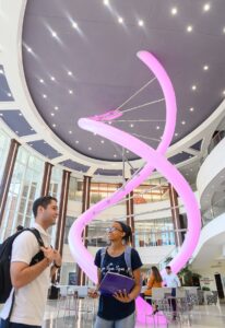 HPU US News Ranking 2