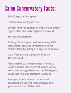 Screen Shot 2022 02 17 at 3.46.47 PM