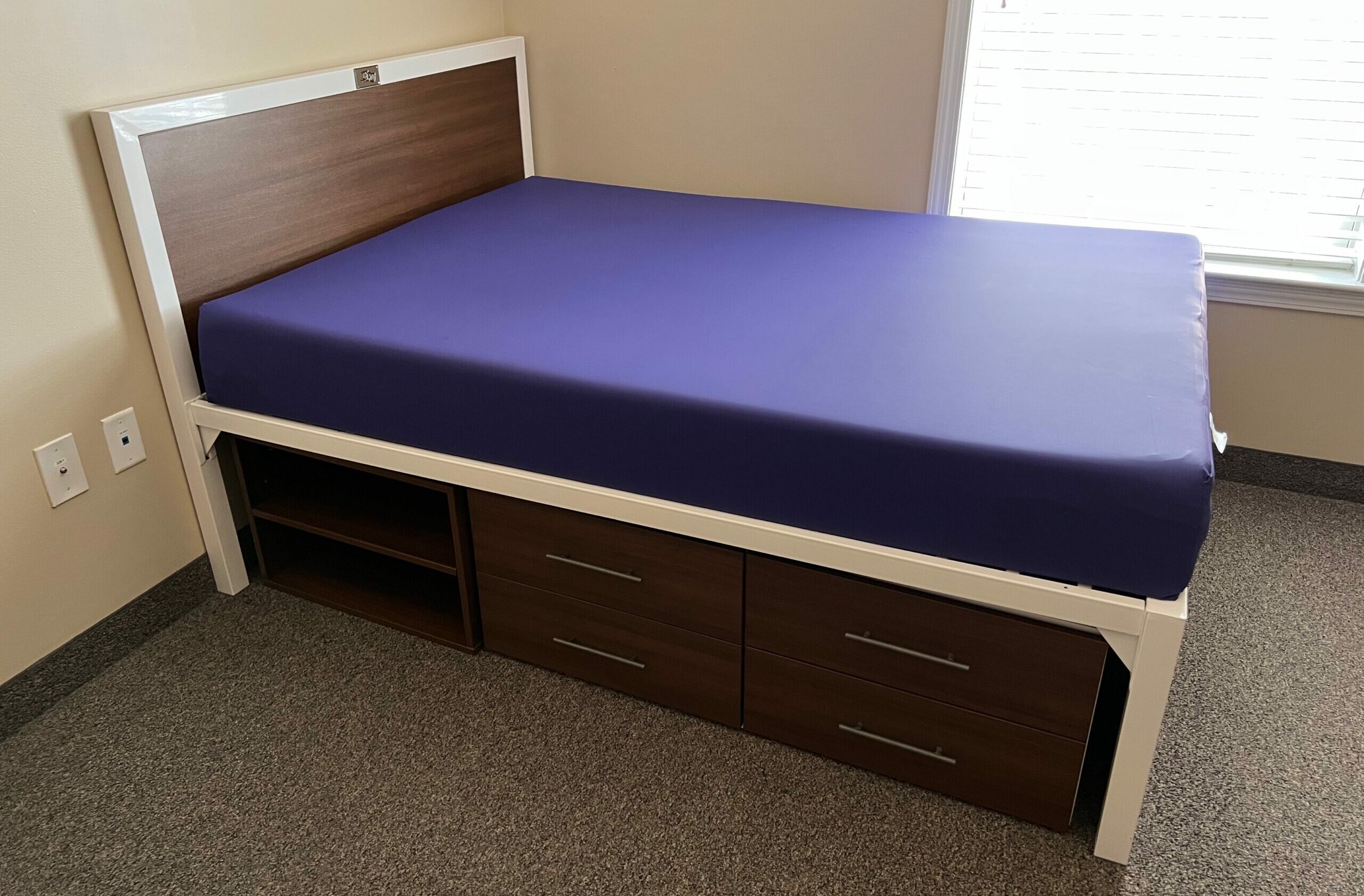 MicrosoftTeams image (2)